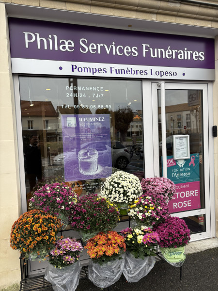 Photo vitrine Chrysanthèmes