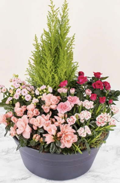Pot Bosquet