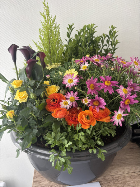 Potée de fleurs