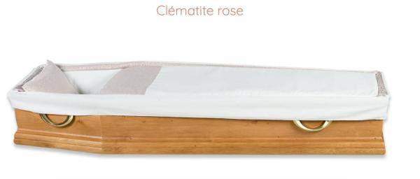 Capiton-CLEMATITE-ROSE