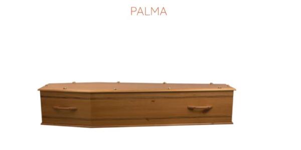 palma-en-pin